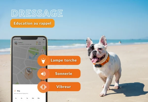 Collier traceur GPS pour chien - XS BLANC – Image 5